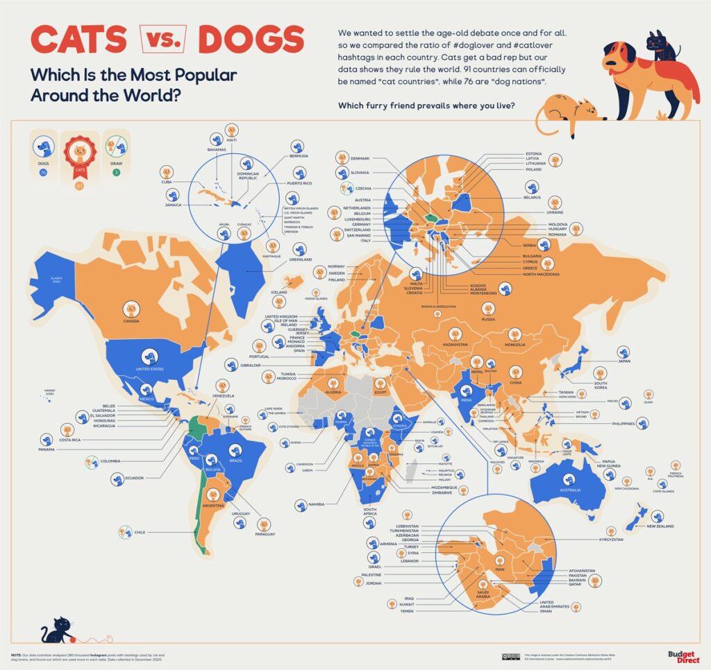 El mundo de los perros y los gatos (2021)