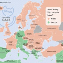 ¿Cuántas vidas tiene un gato en cada país de Europa? (2023)