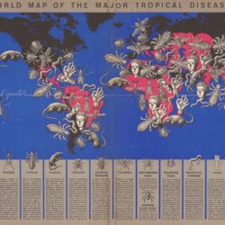 Mapamundi de las enfermedades tropicales (1944)