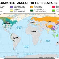 Distribución de osos en el mundo (2013)