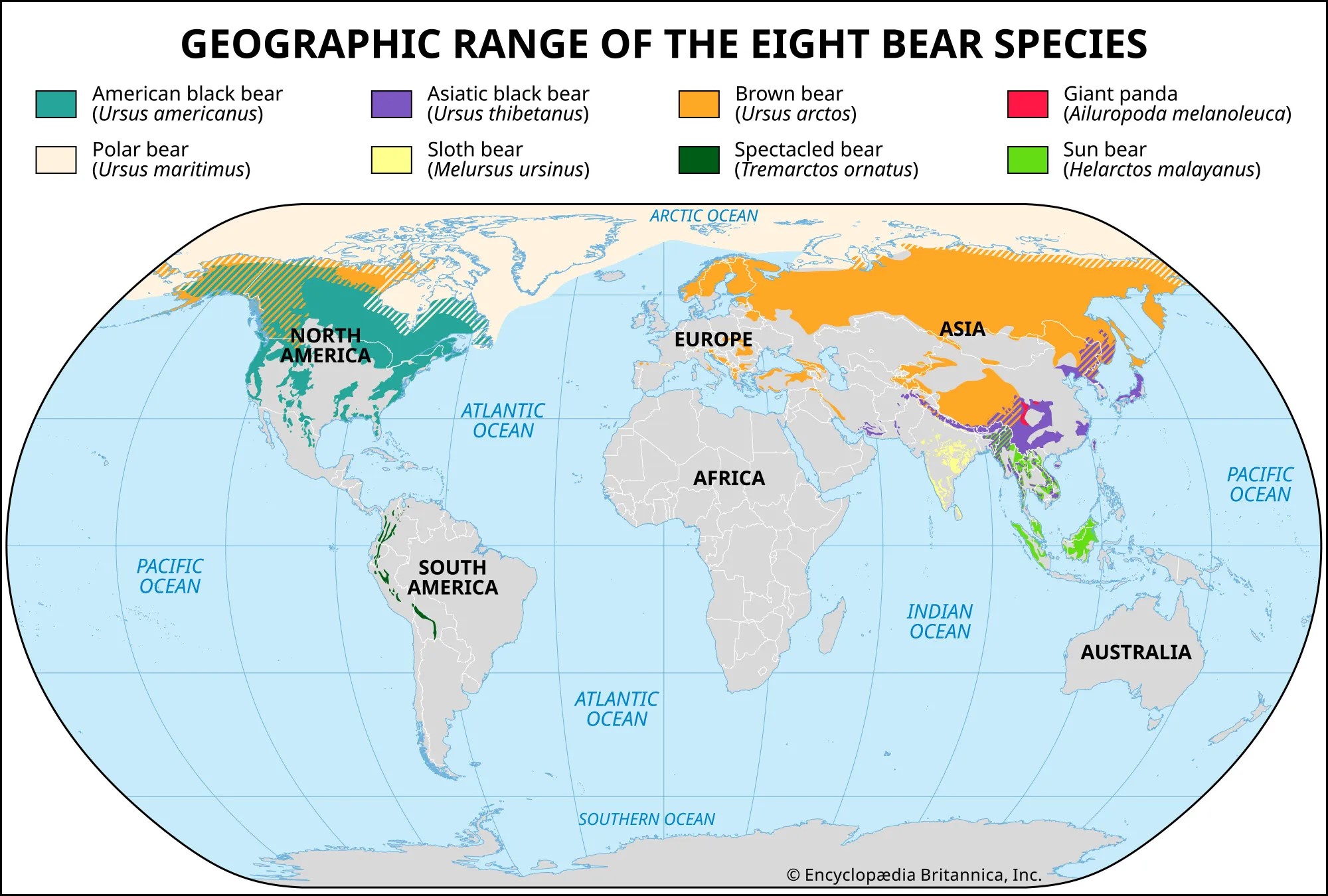 Distribución de osos en el mundo (2013)
