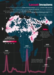Plagas de langosta en África (2023)