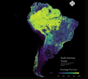 Mapa de los bosques de Sudamérica (2025)