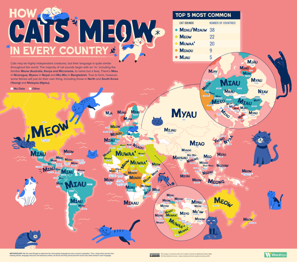 Cómo maullan los gatos (2023)