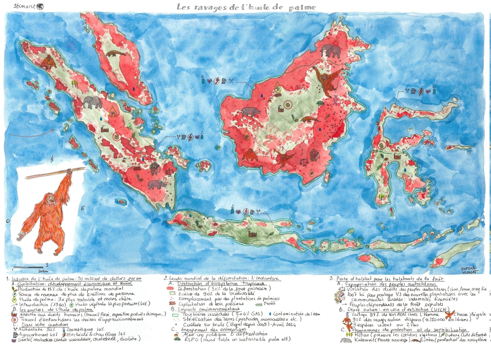 Los estragos del aceite de palma en Indonesia y Malasia (2024) Los estragos del aceite de palma en Indonesia y Malasia (2024)